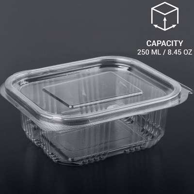 Factory 250ML PET Blister Display Container for Salad Food Packing Tray