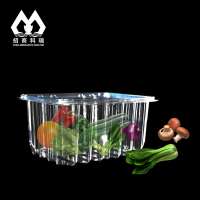 Disposable Clear Plastic Fruit and Vegetable Packaging Box Punnet Take Away Plastic Package