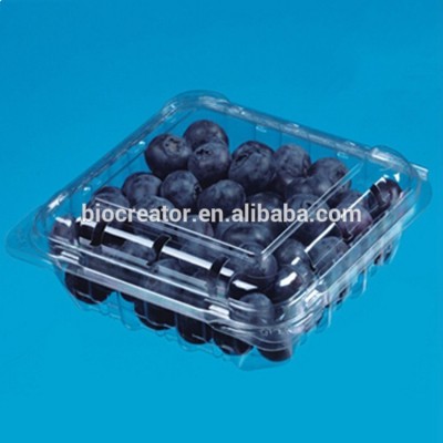 Supermarket Disposable Transparent PET Plastic Blueberry storage box