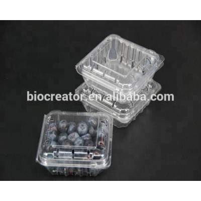 Disposable PET plastic 125g blueberry box